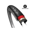 Cst xpedium 3mm 40-622